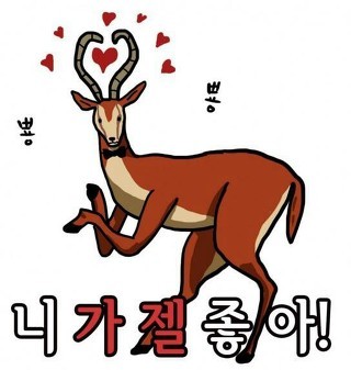 혼도(주) 이미지