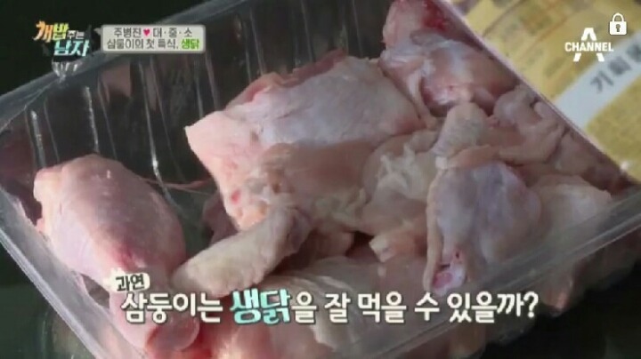[개밥주는남자] 웰시코기 삼둥이 대중소 식탐고치기 (feat.갓형욱) | 인스티즈