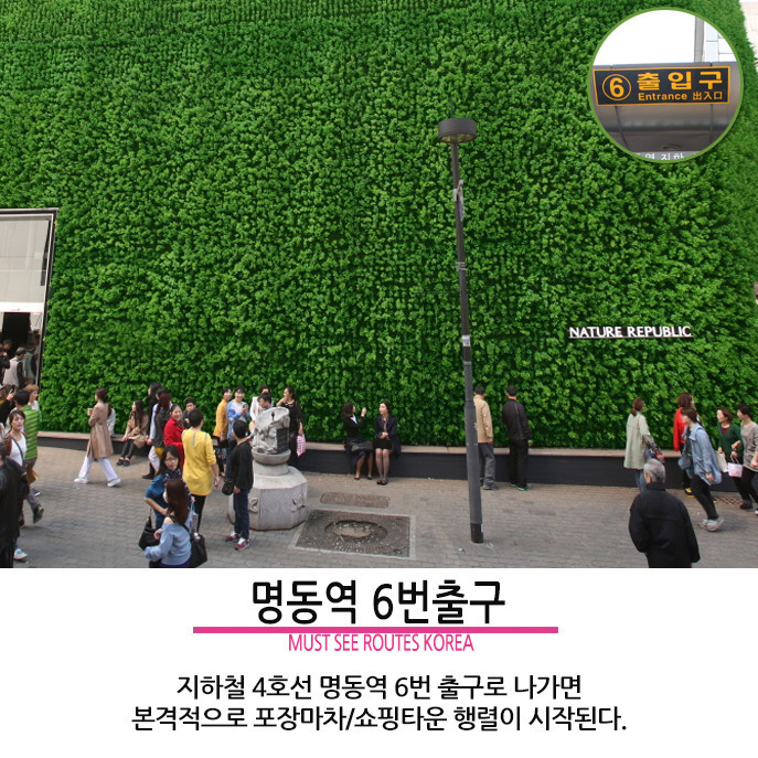 명동먹거리 이미지