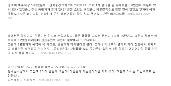 사람들이 점점 국내여행을 꺼려하는 이유 | 인스티즈