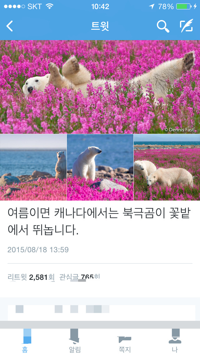 여름에 캐나다에 가면 볼 수 있는것 | 인스티즈