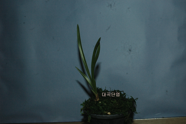 대곡농협 이미지