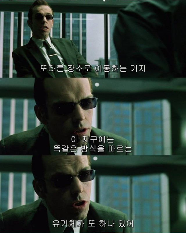 메이가 싸우는 이유.jpg | 인스티즈