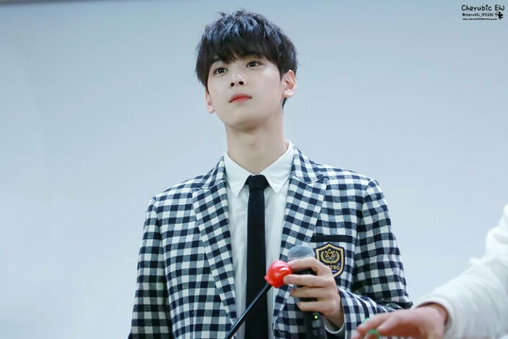 우야 이미지