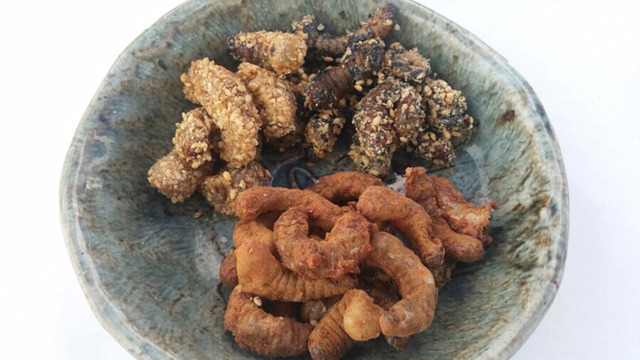 벌레주의) 우리나라에서 매년 열린다는 곤충요리경연대회 | 인스티즈
