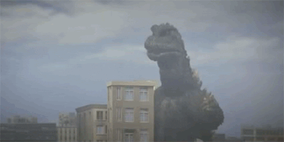 서로 다른 종의 동물을 같이 키웠을때 생길수있는일.gif | 인스티즈