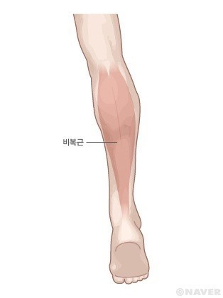 [다이어트일러스트] 각선미 살리는 셀프 종아리 마사지법 | 인스티즈