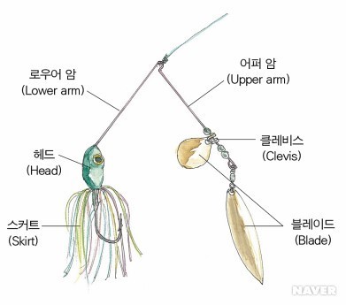베이드 이미지