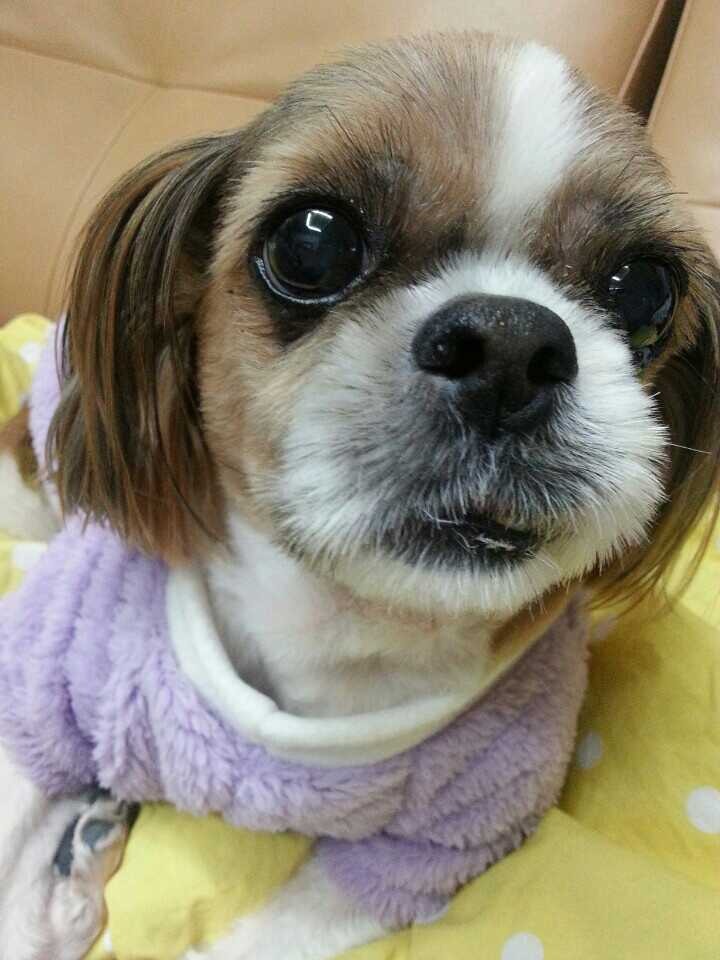 오드리 이미지
