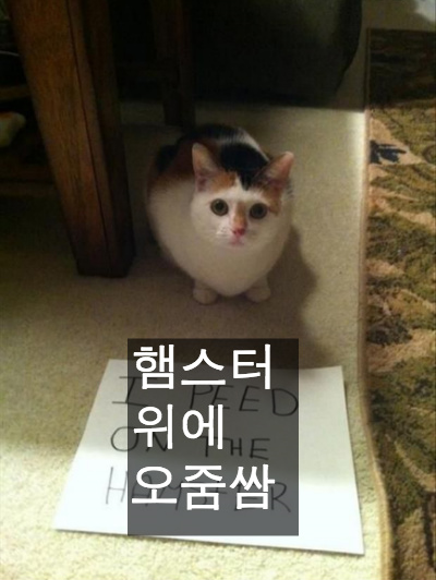 사랑스런 악동들 | 인스티즈