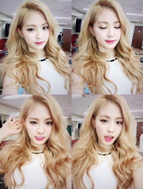 (주)세양 이미지