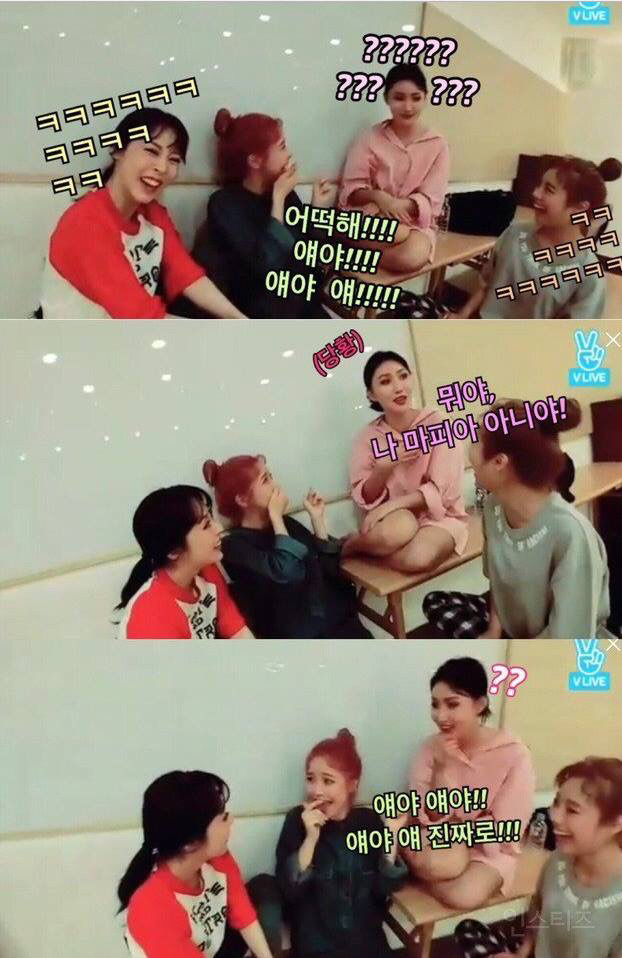 마피아 없는 마피아하는 마마무 | 인스티즈