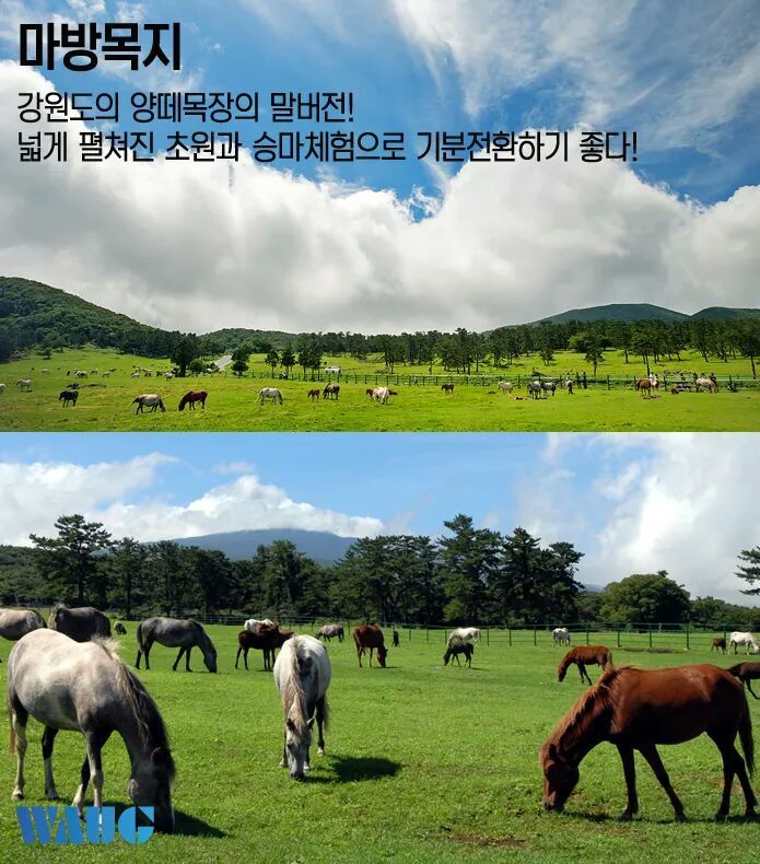 그리 유명하지 않은 제주도 숨은 여행지 7곳 | 인스티즈
