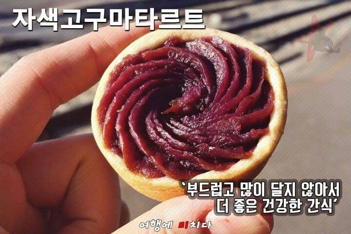 제주도 먹방 여행 | 인스티즈