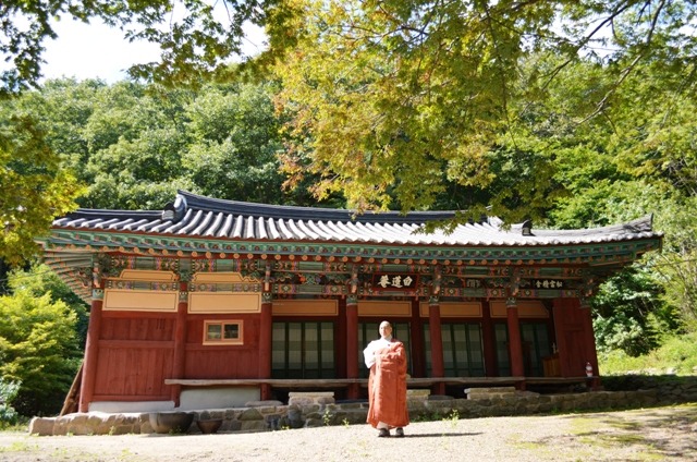 보이다 이미지