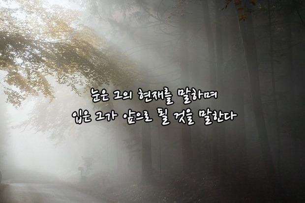 해찬솔 이미지