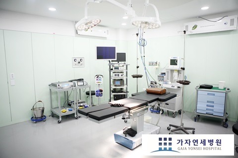 선천가설 이미지