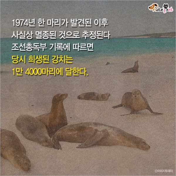  일제강점기 한반도에 사라진 동물들 | 인스티즈