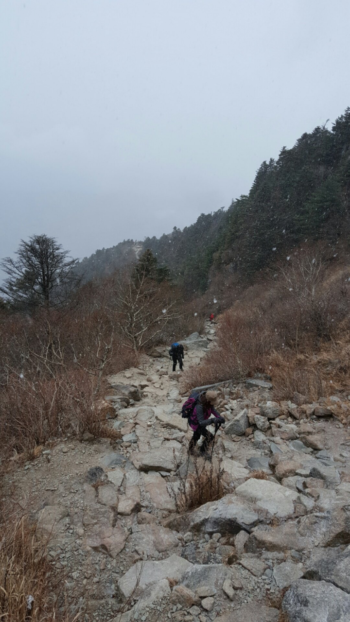 꿈에농장 이미지