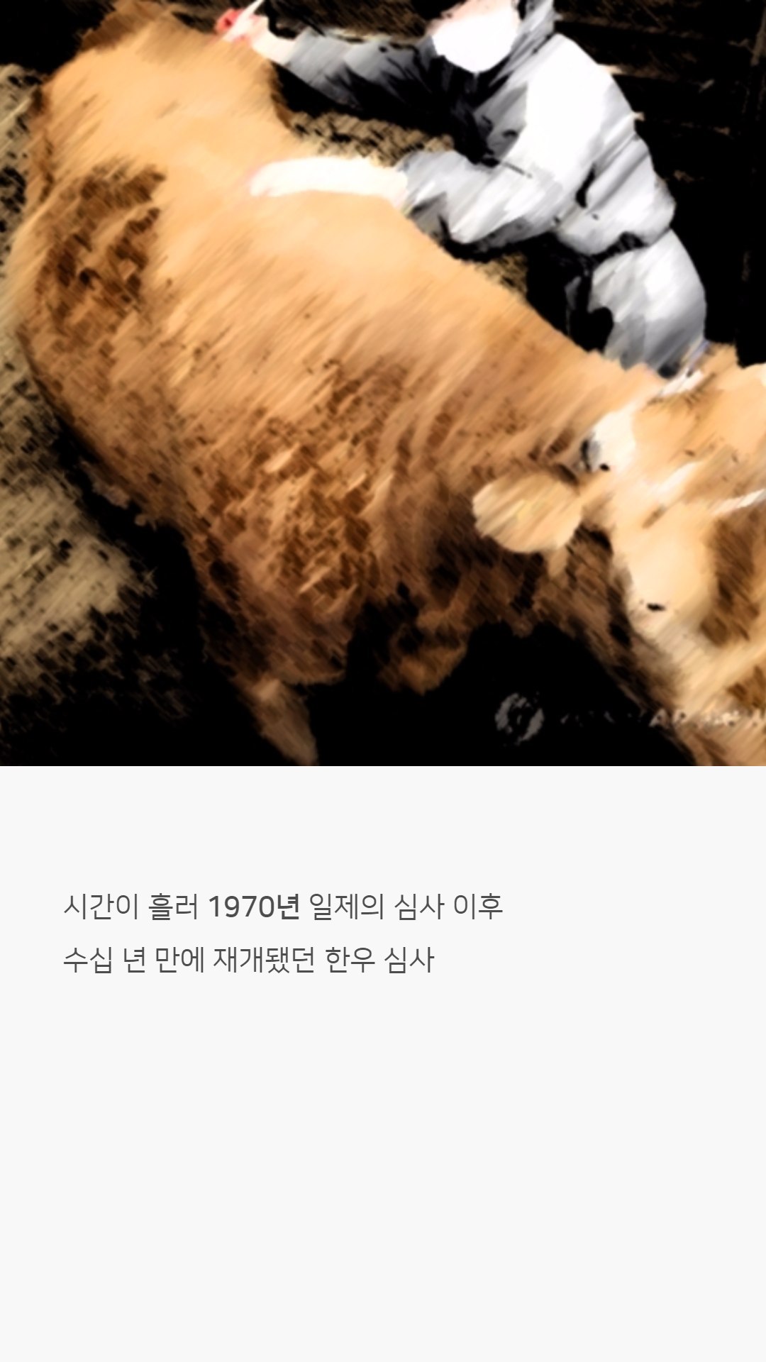 우리나라 한우는 왜 황색일까?jpg | 인스티즈