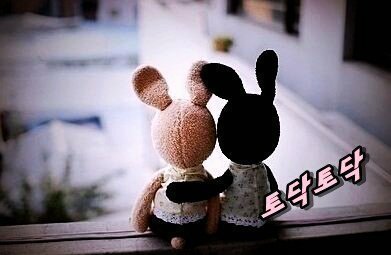요기내 이미지