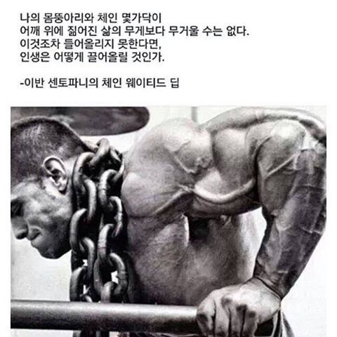 다이어트 자극 명언 | 인스티즈