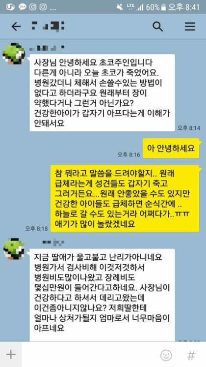 펫샵에서 강아지 분양받은 후.jpg | 인스티즈