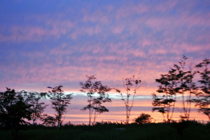 그냥 한번 올려보는 제 DSLR 사진들 | 인스티즈