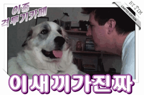 돈까스 피자.jpg | 인스티즈