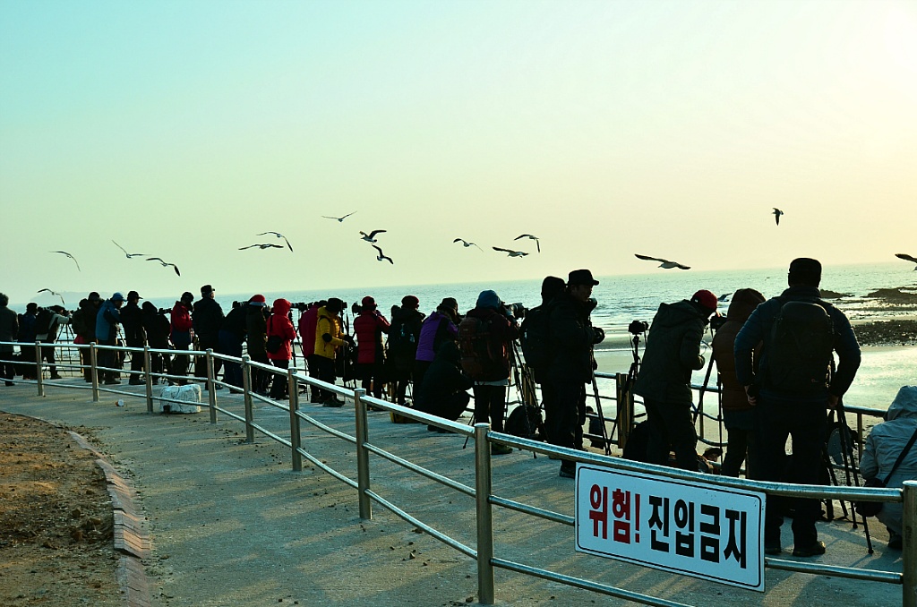 별빛뜨락 이미지