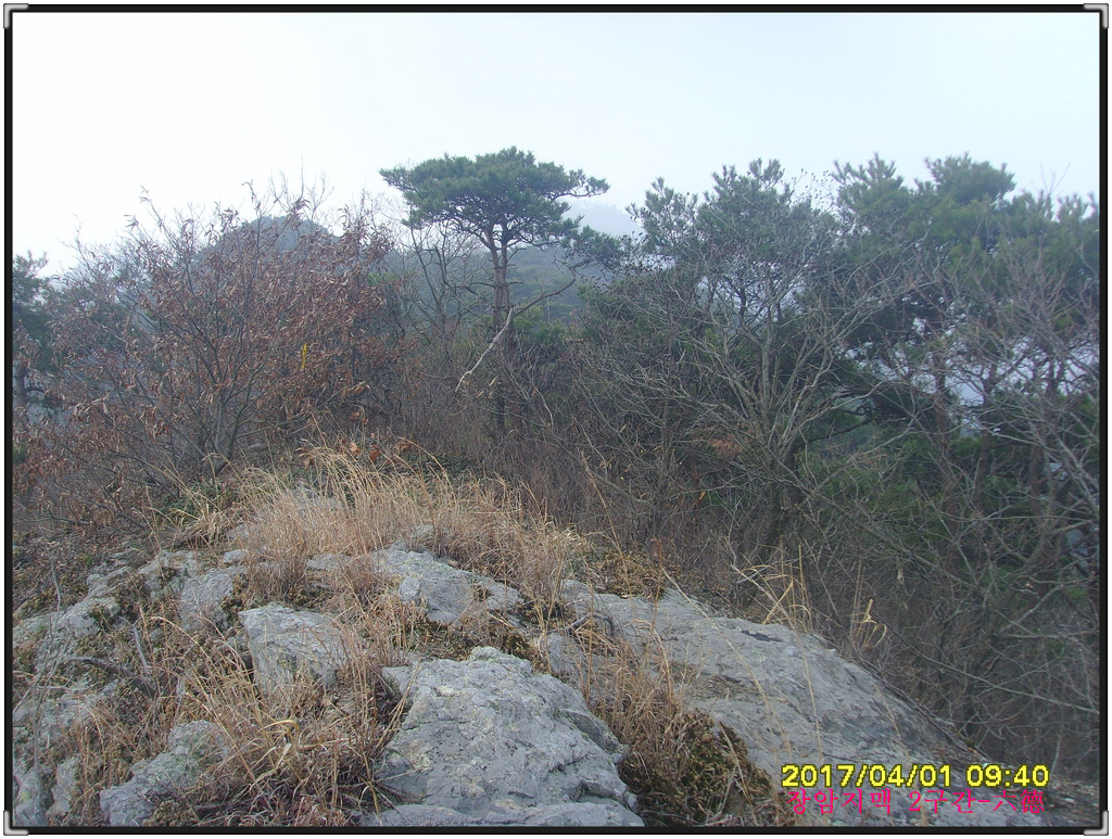 논산바다 이미지