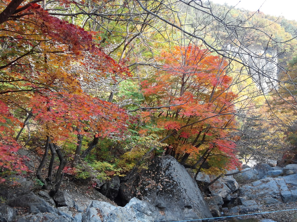 산중농원 이미지