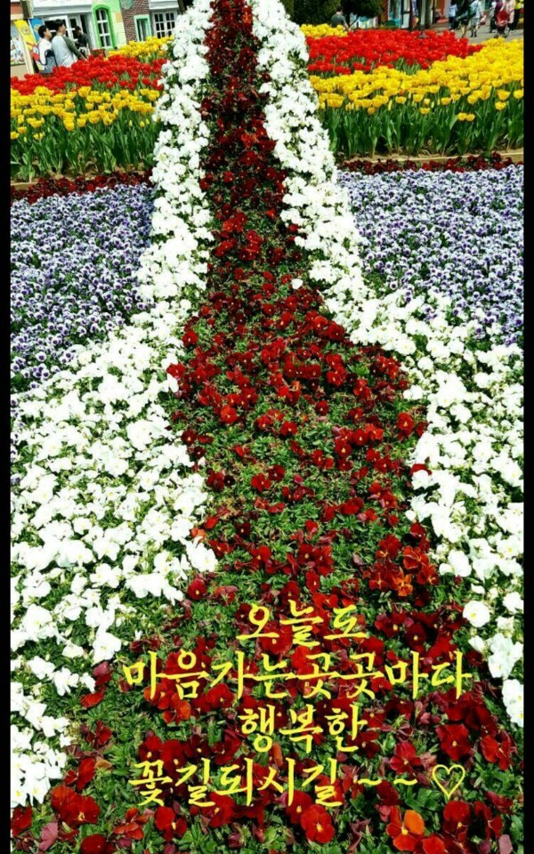 꽃길만걷자 이미지