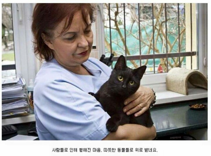 냐이팅게일 | 인스티즈