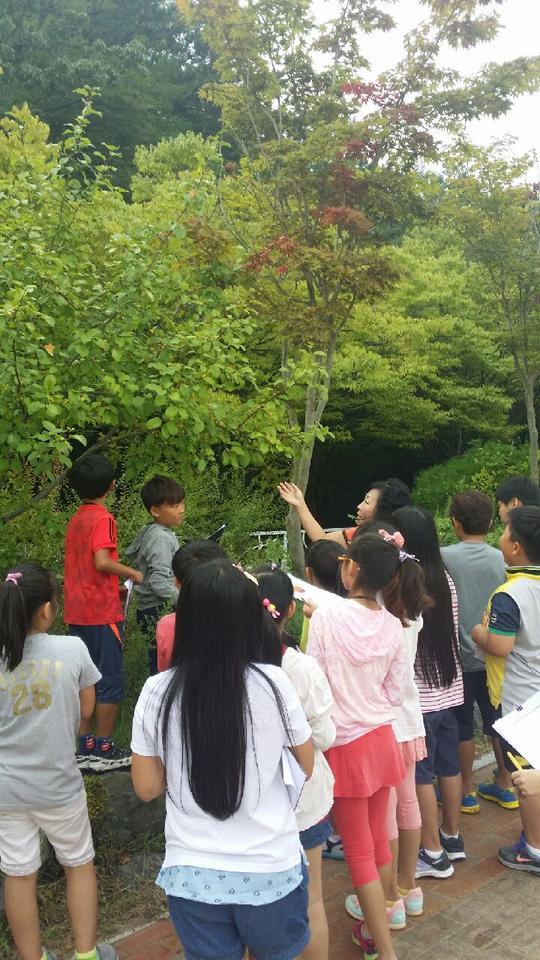 팔룡초등학교 이미지