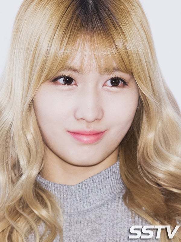 트와이스 오늘자 다른 기사사진 | 인스티즈