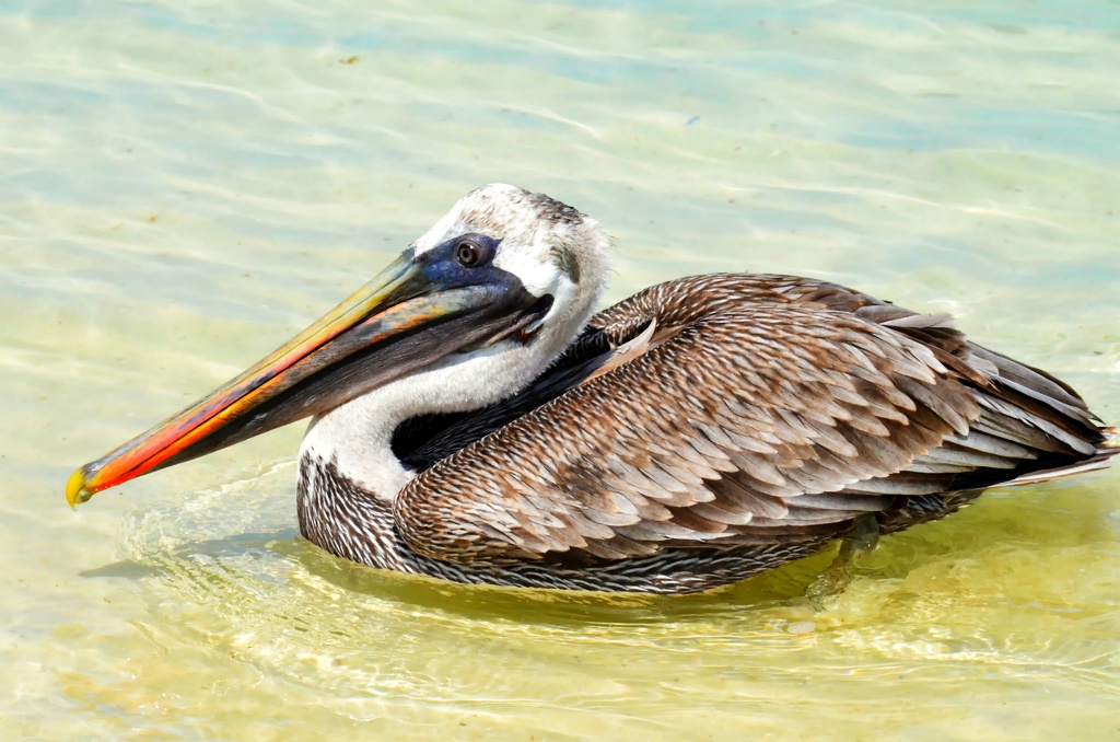 255A9C435496BFC0247637