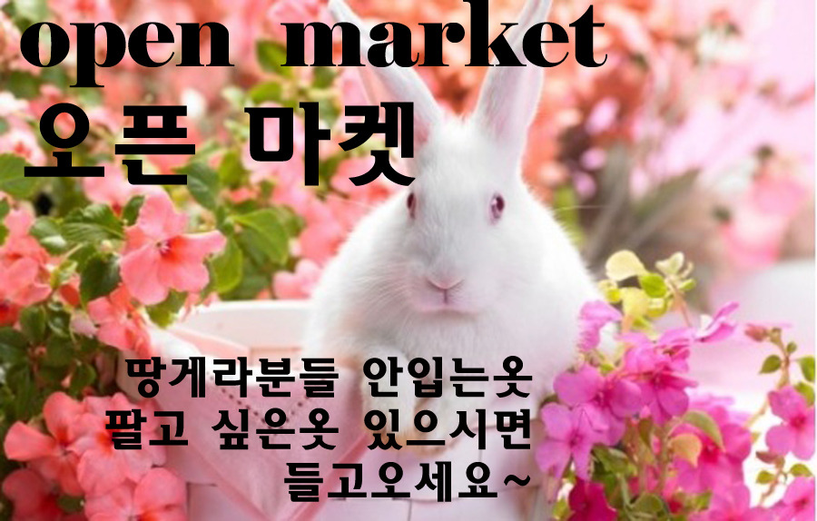 엘불리 이미지