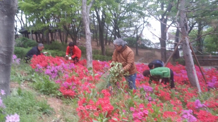 풍년골 이미지