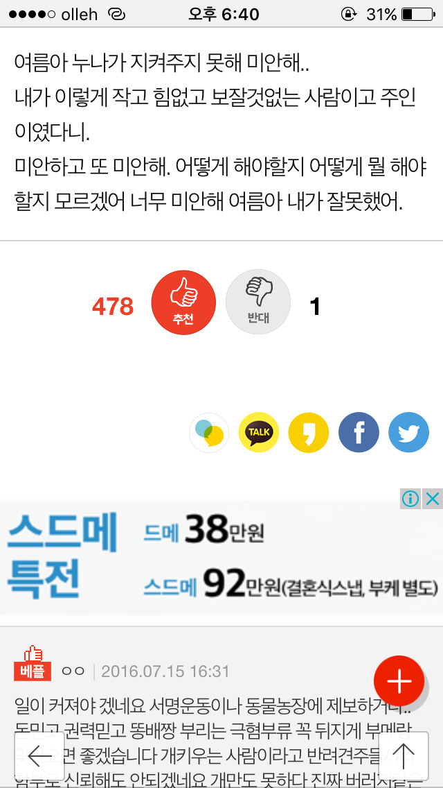 저희 개가 (여름이) 다른 개에게 물려 죽었습니다...(사진) | 인스티즈