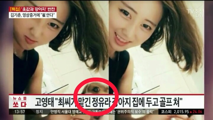 박근혜최순실게이트 폭로의 결정적 계기 | 인스티즈