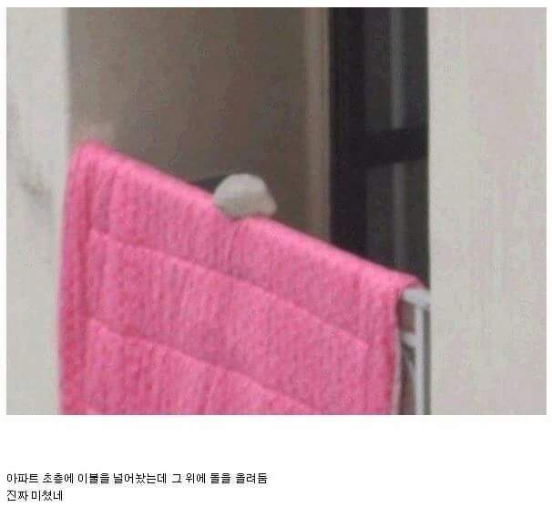 역대급 아파트 .jpg | 인스티즈