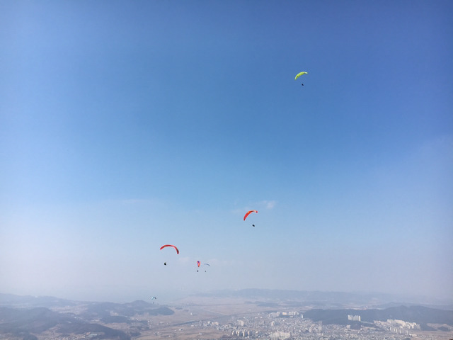대천 짬뽕집 이미지