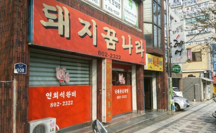 돼지꿈나라 이미지