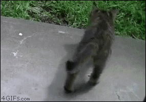 여기서 자볼까냥.gif | 인스티즈