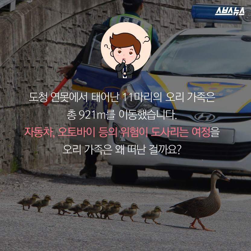 당신은 당신의 이웃을 사랑하십니까? | 인스티즈