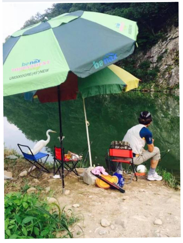 초면에 고기를 줬더니.twt | 인스티즈