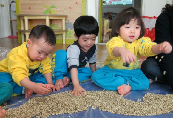커피콩이야기 이미지