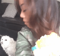 눈치보는 강아지.gif | 인스티즈
