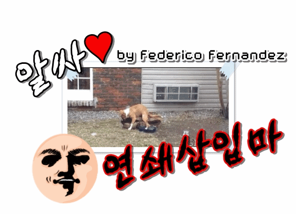 새해 여친 만드는 간단한 방법 몇가지.gif | 인스티즈